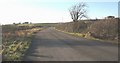 View west along the Sewage Farm access road