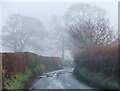 Engleton Lane, Brewood, Staffordshire