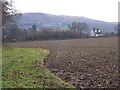 Wide field margin near Old Orchard Lane