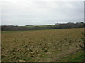 Barton Common, looking south-west