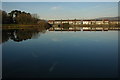 Houses reflected in North Lake, Caerphilly