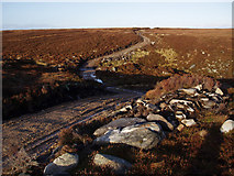 NH8442 : Track Through Moorland by Dorothy Carse