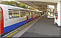 Piccadilly Line Train entering Oakwood Station, London N14