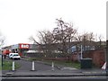 Tree Felling by the Hillfoot Steel Factory, Hillsborough, Sheffield