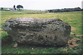 Connachan Lodge Cup and Ring marked Stone