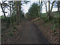 NU0221 : Track climbing away from Roseden westwards by ian shiell