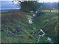 Field drain flowing south-south-east from near Roddam Rigg