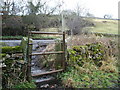 Gate and finger post