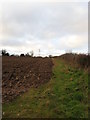 Open Plough and Hedgerow