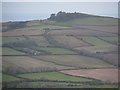 Fields north of Beacon Knap from the A35