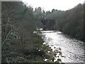 Looking upstream from Barncluith Bridge