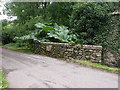 Stockland, County Bridge