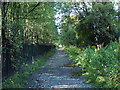 Footpath to shore