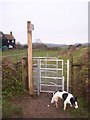 Kissing Gate on Gore Green Road