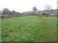 Grassy bank up to rear of houses in Saxon Close