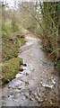 A pretty stream on the way to Northwood Green.