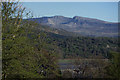 View towards Cadair Idris from Bontddu