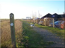 TQ9664 : Saxon Shore Way beside Swale Marina by David Anstiss