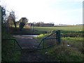 Bridleway becomes a footpath