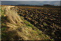 Headland and ploughed field, Throckmorton