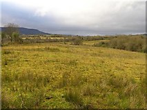 H0036 : Kiltycloghan Townland by Kenneth  Allen