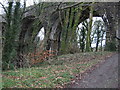 Lydford Viaduct