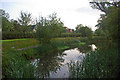 Wet moat, Reigate Castle