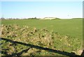 Bunker just to the west of Dead Mans Wood