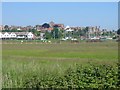 Field between Harbour Road and River Brede at Rye