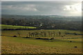 View across Fladbury