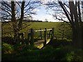 Footbridge on the Poet