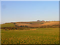 South Downs from the River Ouse