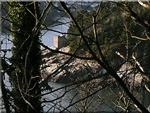 SX8950 : Kingswear Castle from the SW coastal path by Wendy North