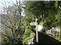 Footpath down to the estuary