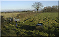 Field boundary near Out Rawcliffe School