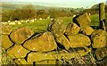 Drystone wall, Slemish (5)