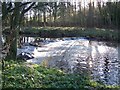 The River Bann at Tullyconnaught