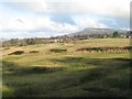 Clee Hill from Knowbury