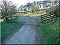 Road becomes bridleway