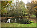 The Balancing Pond at the end of Baldock Road