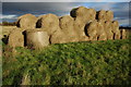 Straw bales near Old Fallow Farm