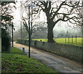 2008 : Tog Hill Lane, Doynton