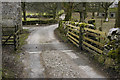 Road and Cattle Grid at Water Houses