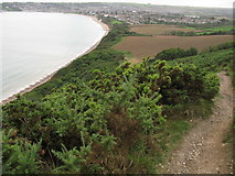 SZ0481 : Over looking Swanage bay from the Path on Ballard Down by Andy Jamieson