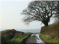 2008 : Looking down Cock Lane