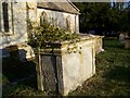 Mistletoe in the churchyard, Holy Cross Church