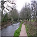 Cullompton Mill Leat walk.