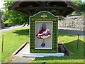 SK1969 : Well Dressing , Ashford in the Water by DAVID M GOODWIN