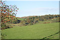 Conwy Valley