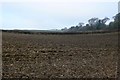 Ploughed Field near Northbrook.